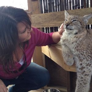 Meet your Posher, Shannon